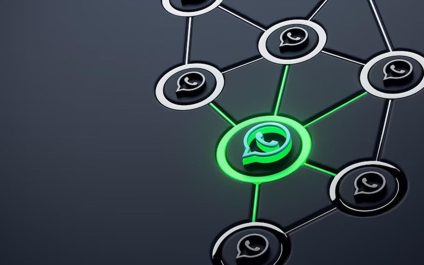 צ׳אטבוט AI לפניות לקוחות- מענה מהיר ב-WhatsApp